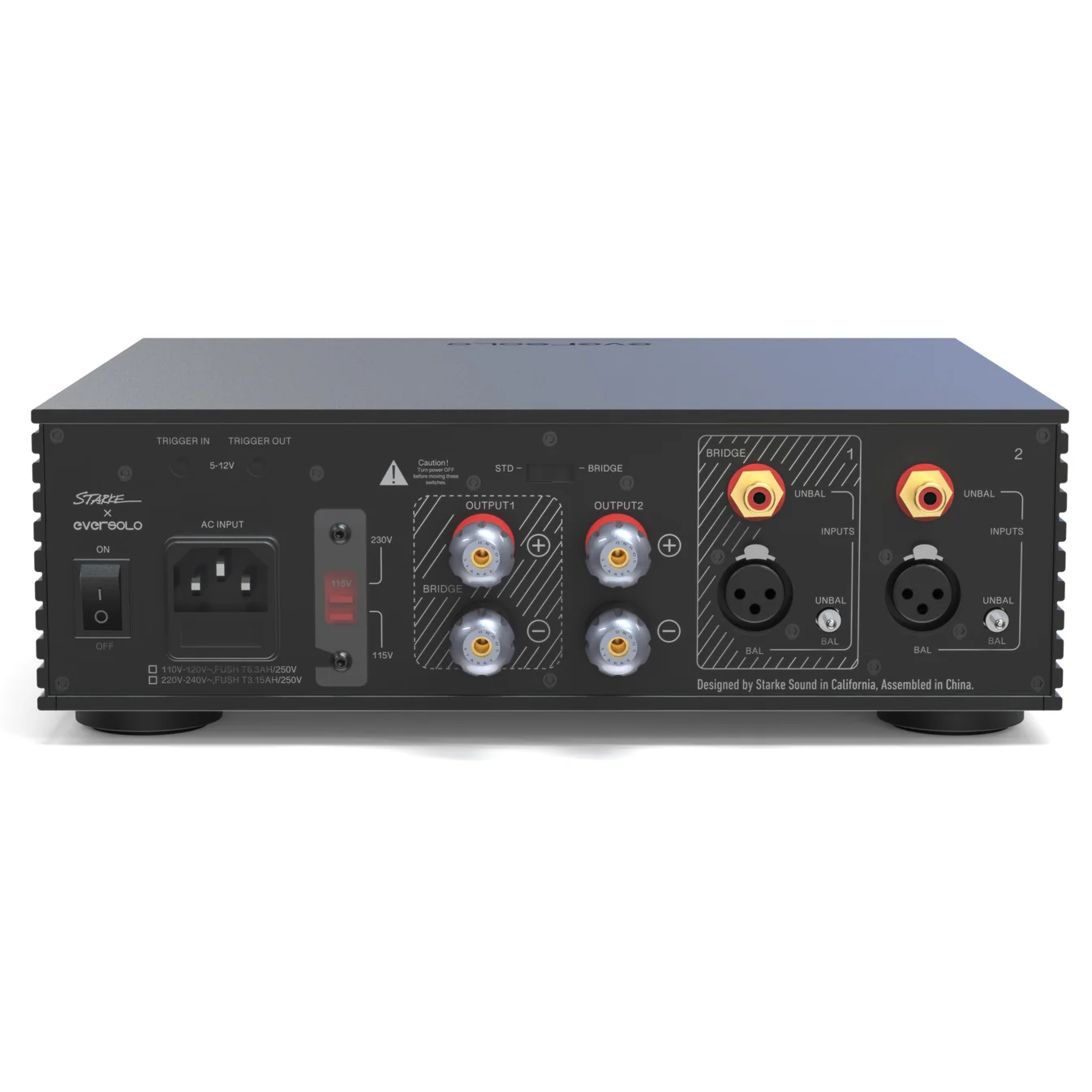 EverSolo AMP-F2 EverSolo AMP-F2