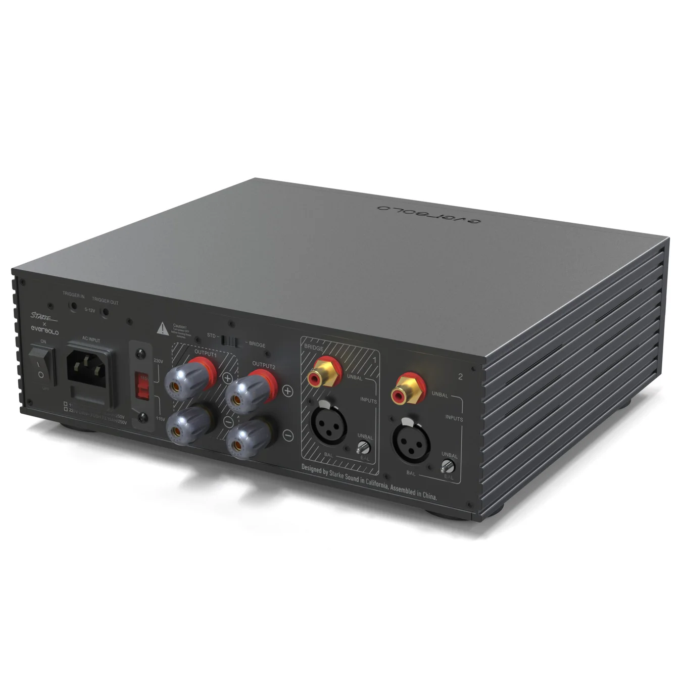 EverSolo AMP-F2 EverSolo AMP-F2